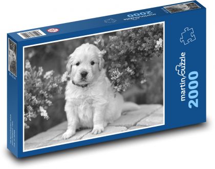 Dog - Puppy - Puzzle 2000 pieces, size 90x60 cm 