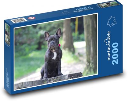 French Bulldog  - Puzzle 2000 pieces, size 90x60 cm 