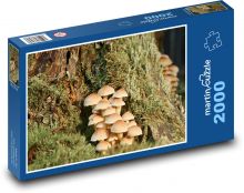 Przyroda - grzyby Puzzle 2000 elementów - 90x60 cm