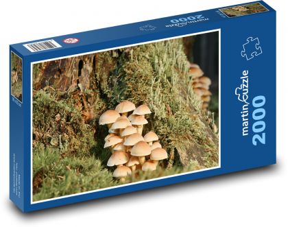 Příroda - houby - puzzle 2000 dílků