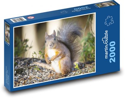 Eichhörnchen - Nagetier - Puzzle - 2000 Teile