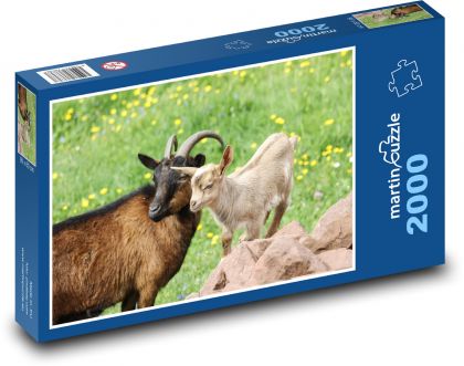 Ziege mit Jungtier - Puzzle - 2000 Teile