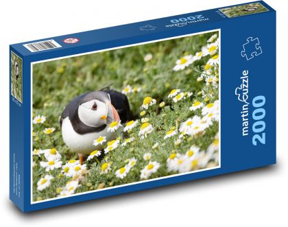 Vták - Puffin - Puzzle 2000 dielikov, rozmer 90x60 cm 