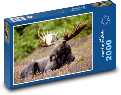 Zwierzę - łoś - Puzzle 2000 elementów, rozmiar 90x60 cm