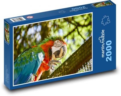 Vták - papagáj - Puzzle 2000 dielikov, rozmer 90x60 cm 
