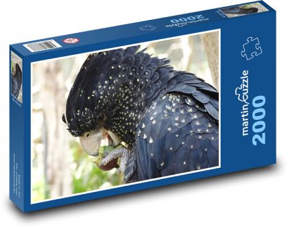 Vták - kakadu - Puzzle 2000 dielikov, rozmer 90x60 cm 
