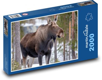 Los - divoká zvěř - puzzle 2000 dílků
