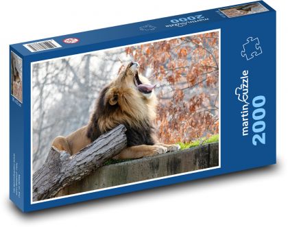 Lev - zviera - Puzzle 2000 dielikov, rozmer 90x60 cm 