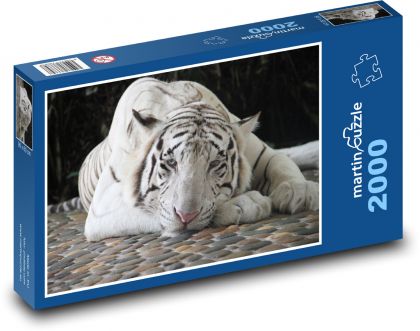 Biały Tygrys - Puzzle 2000 elementów, rozmiar 90x60 cm