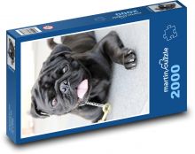 Čierny mops - pes Puzzle 2000 dielikov - 90 x 60 cm