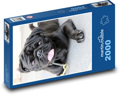 Čierny mops - pes - Puzzle 2000 dielikov, rozmer 90x60 cm 