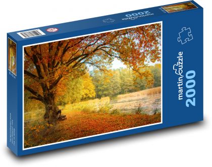 Herbst - Wald, Bäume - Puzzle - 2000 Teile