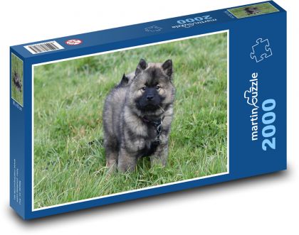 Pes - Eurasier - puzzle 2000 dílků