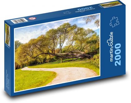 Park - príroda - Puzzle 2000 dielikov, rozmer 90x60 cm 