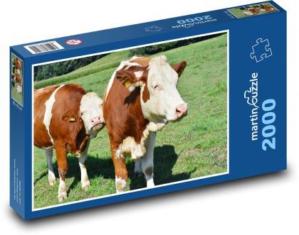 Agriculture - cows - Puzzle 2000 pieces, size 90x60 cm 
