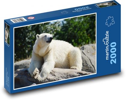 Niedźwiedź polarny - Puzzle 2000 elementów, rozmiar 90x60 cm