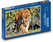 Große Katze Puzzle 2000 Teile - 90 x 60 cm