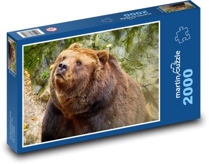 Brown bear - Puzzle 2000 pieces, size 90x60 cm 