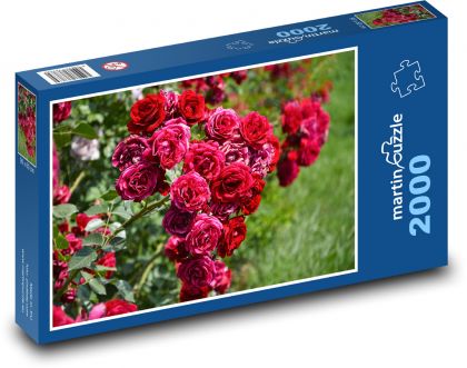 Rote Rose - Puzzle - 2000 Teile