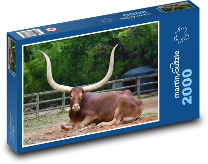 Horns - bull - Puzzle 2000 pieces, size 90x60 cm 