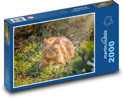 Zardzewiały kot w trawie - Puzzle 2000 elementów, rozmiar 90x60 cm
