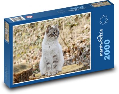 Mačka - zviera - Puzzle 2000 dielikov, rozmer 90x60 cm 