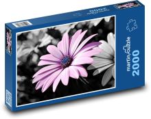 Růžový květ Puzzle 2000 - 90x60 cm