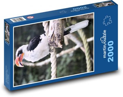 Vták - zoborožec - Puzzle 2000 dielikov, rozmer 90x60 cm 