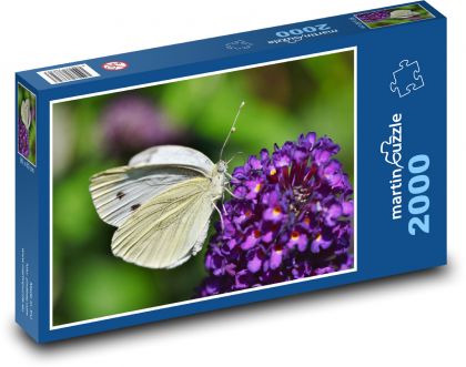 Motyl - owad na kwiatku - Puzzle 2000 elementów, rozmiar 90x60 cm