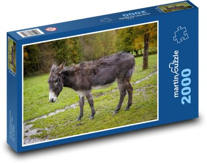 Somár - Puzzle 2000 dielikov, rozmer 90x60 cm 