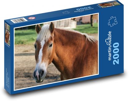 Hnedý kôň - Puzzle 2000 dielikov, rozmer 90x60 cm 