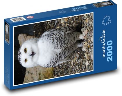 Sněžná sova - puzzle 2000 dílků