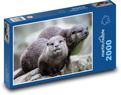 Vydra - hlodavec - Puzzle 2000 dielikov, rozmer 90x60 cm 