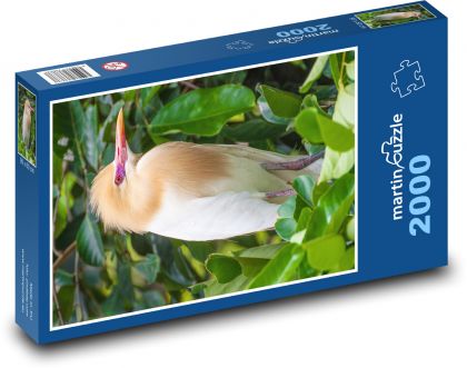 Bird - Petulubali, heron - Puzzle 2000 pieces, size 90x60 cm 