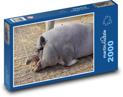 Prasa - Puzzle 2000 dielikov, rozmer 90x60 cm 