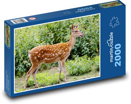 Jeleň - zviera - Puzzle 2000 dielikov, rozmer 90x60 cm 