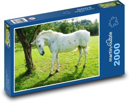 White Horse Grazing - Puzzle 2000 pieces, size 90x60 cm 