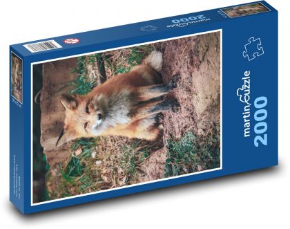 Líška v lese - Puzzle 2000 dielikov, rozmer 90x60 cm 