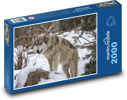 Vlk v lese - Puzzle 2000 dielikov, rozmer 90x60 cm 