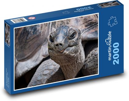 Żółw - gad - Puzzle 2000 elementów, rozmiar 90x60 cm
