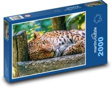 Leopard - zvíře Puzzle 2000 dílků - 90 x 60 cm