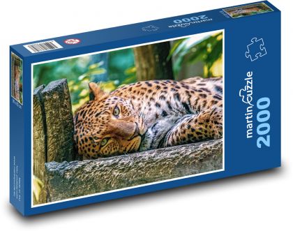 Leopard - zvíře - Puzzle 2000 dílků, rozměr 90x60 cm