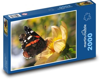 Admirál - motýl - puzzle 2000 dílků