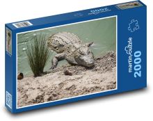 Crocodylus Puzzle 2000 pieces - 90 x 60 cm