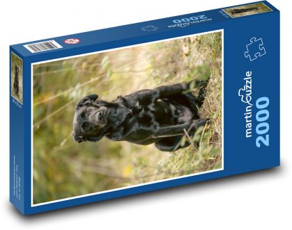 Čierny labrador - pes - Puzzle 2000 dielikov, rozmer 90x60 cm 