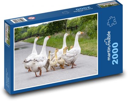 Gänse auf der Straße - Puzzle - 2000 Teile