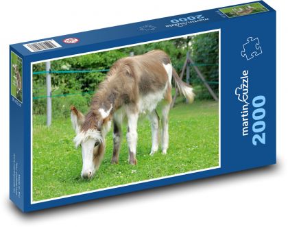 A donkey on a green field - Puzzle 2000 pieces, size 90x60 cm 