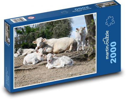Odpočívajúce kravy a teľatá - Puzzle 2000 dielikov, rozmer 90x60 cm 