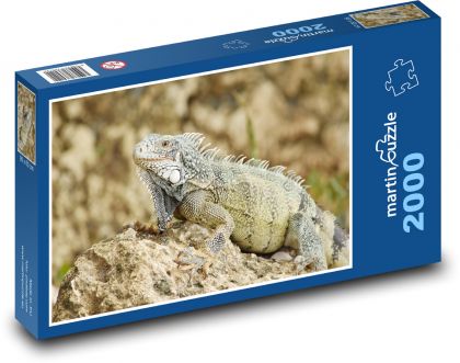 Leguán na kameni - puzzle 2000 dílků