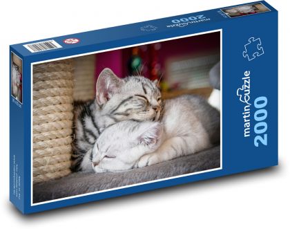Zwei schlafende Katzen - Puzzle - 2000 Teile